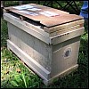 hive -61.jpg hive -61.jpg